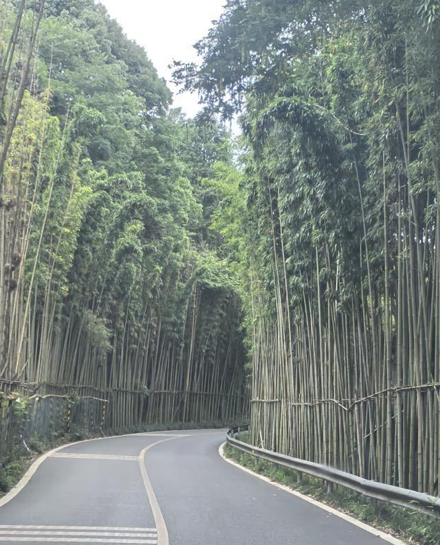 慢跑真别天天跑，纯属无效内卷还容易受伤。跑步冲击力大，肌肉关节需要一两天修复，天