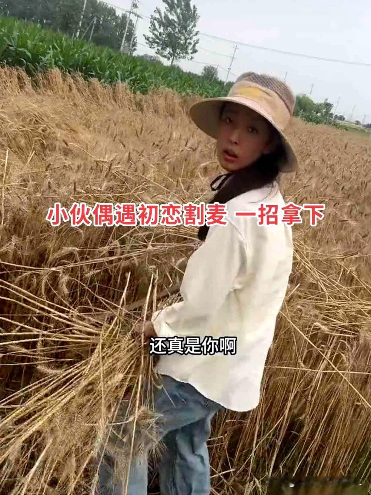 河南小伙回乡收麦，偶遇25岁初恋满头大汗干活！一个举动破镜重圆，网友：这才是最踏
