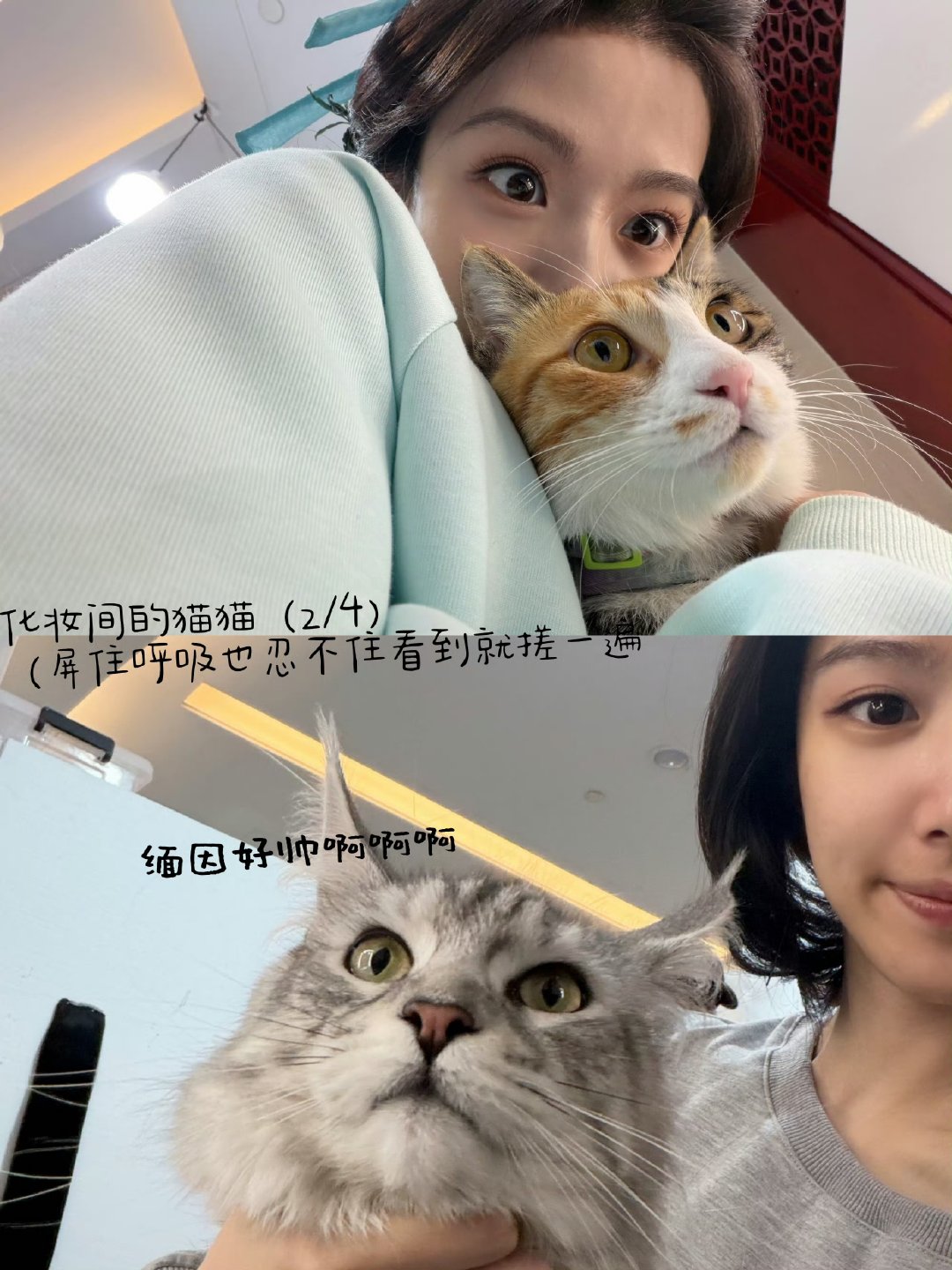 卢昱晓发了超多小猫小狗照卢昱晓晒小猫小狗照都好可爱啊啊啊