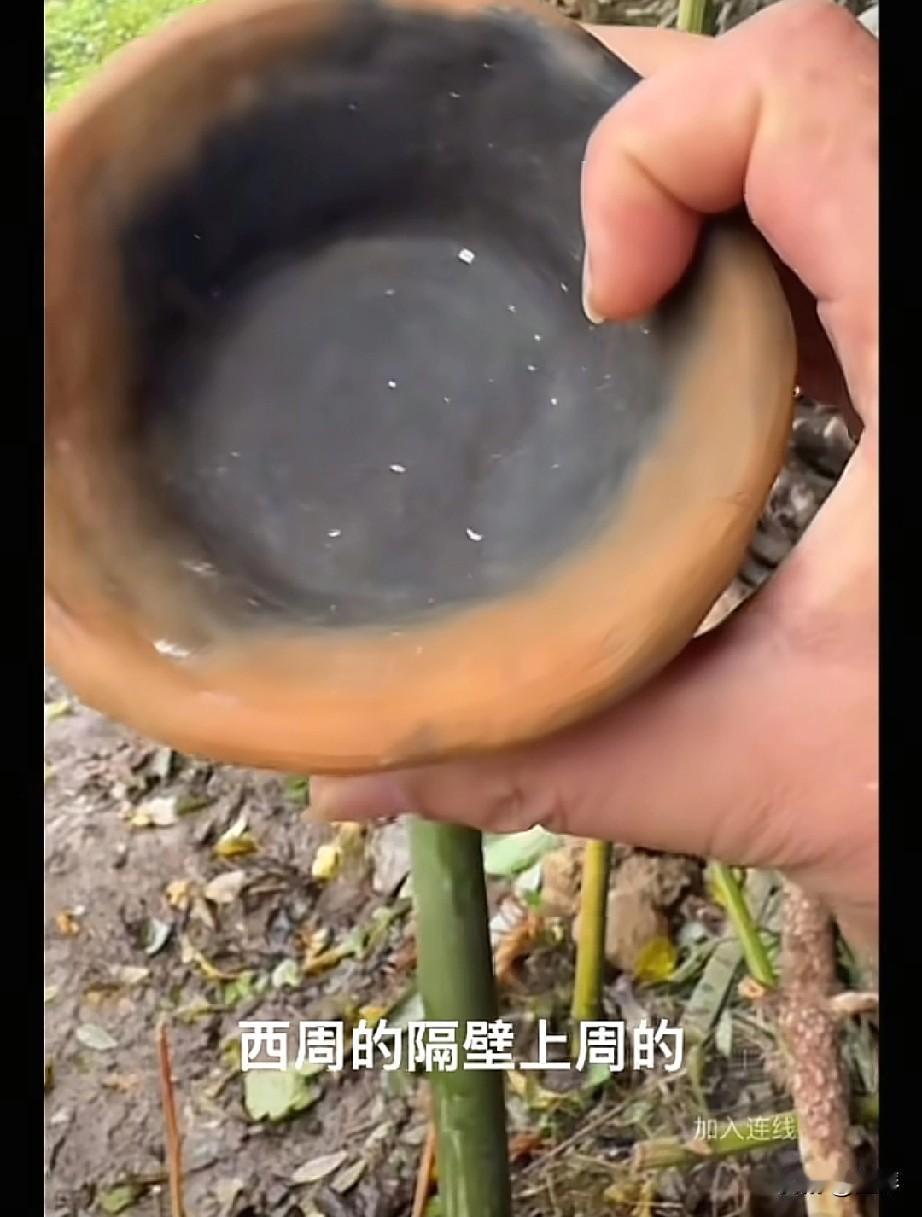 宜宾选手在荒野整出“土碗”！这手艺比西周陶工还野（不是）。家人们谁懂啊