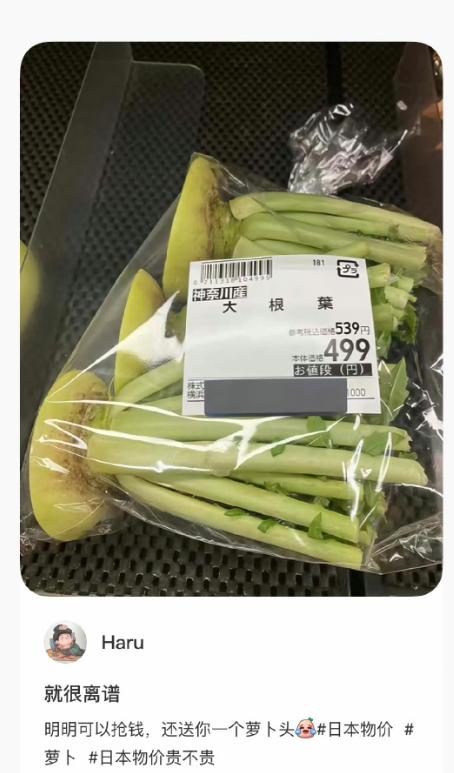 日本物价，怪不得叫忍者！日本人一颗包菜请客炒三个菜，余下的存冰箱里还能吃一周