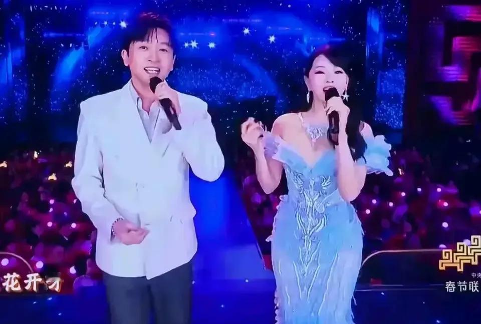 春晚最好听的歌曲曝光，不是王菲带来的《你我经历的一刻》，也不是李健独唱的《人间共