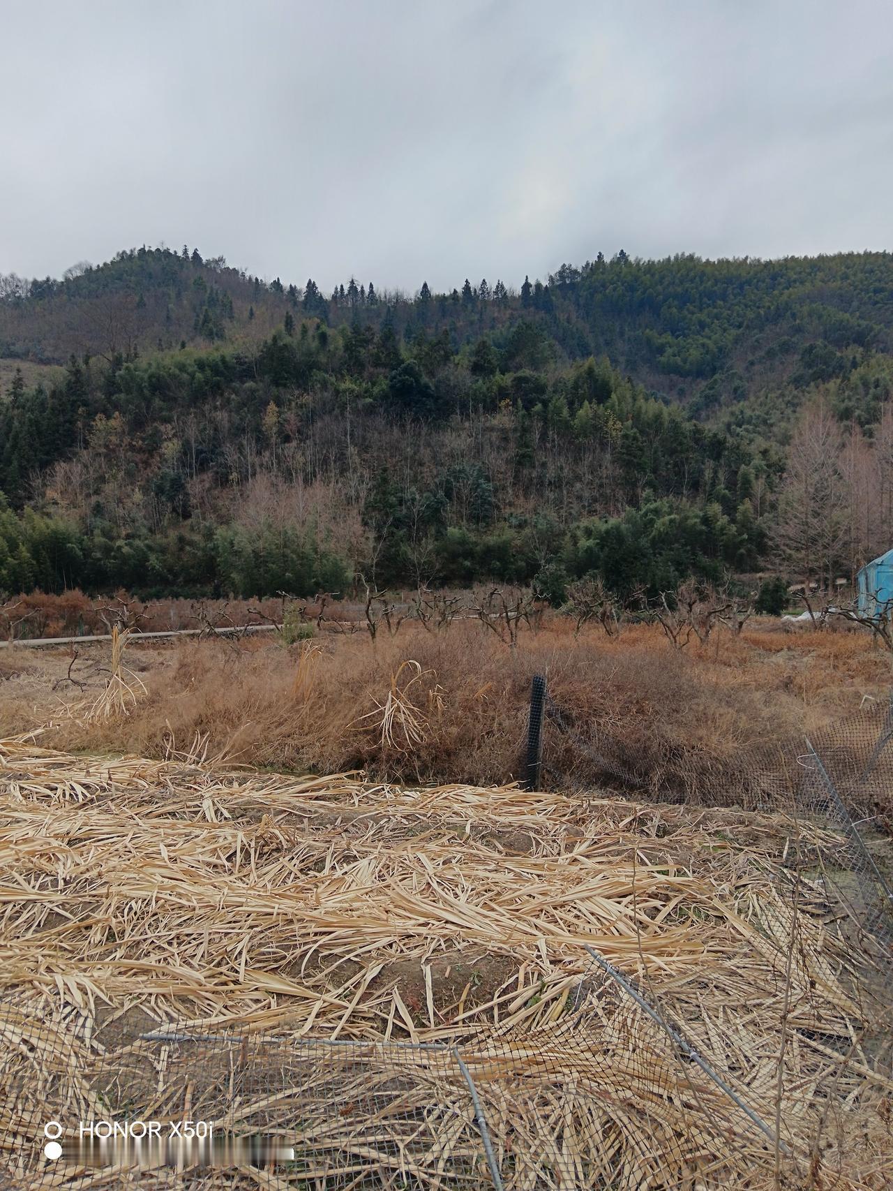 1月11日，武汉市纪委监委官网发布重要通报：武汉商贸国有控股集团有限公司原党委