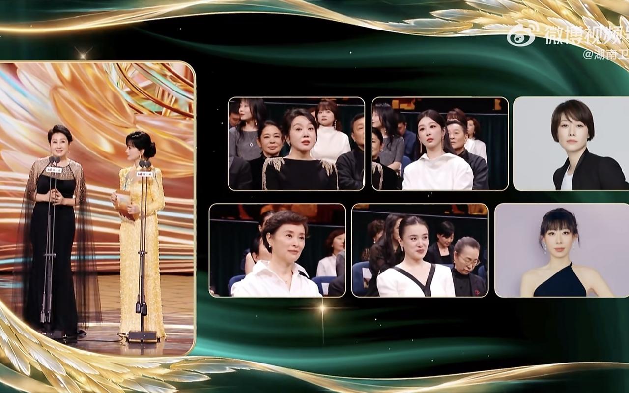 金鹰奖的评奖标准到底是什么？题材吗？那么闫妮和蒋欣的《小巷人家》颗粒无收就很