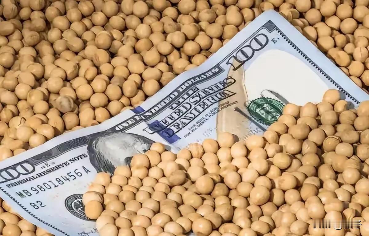 6.9万吨巴西大豆漂洋过海刚抵江苏泰州港，满载的不仅是金黄的农产品，还有一颗令人