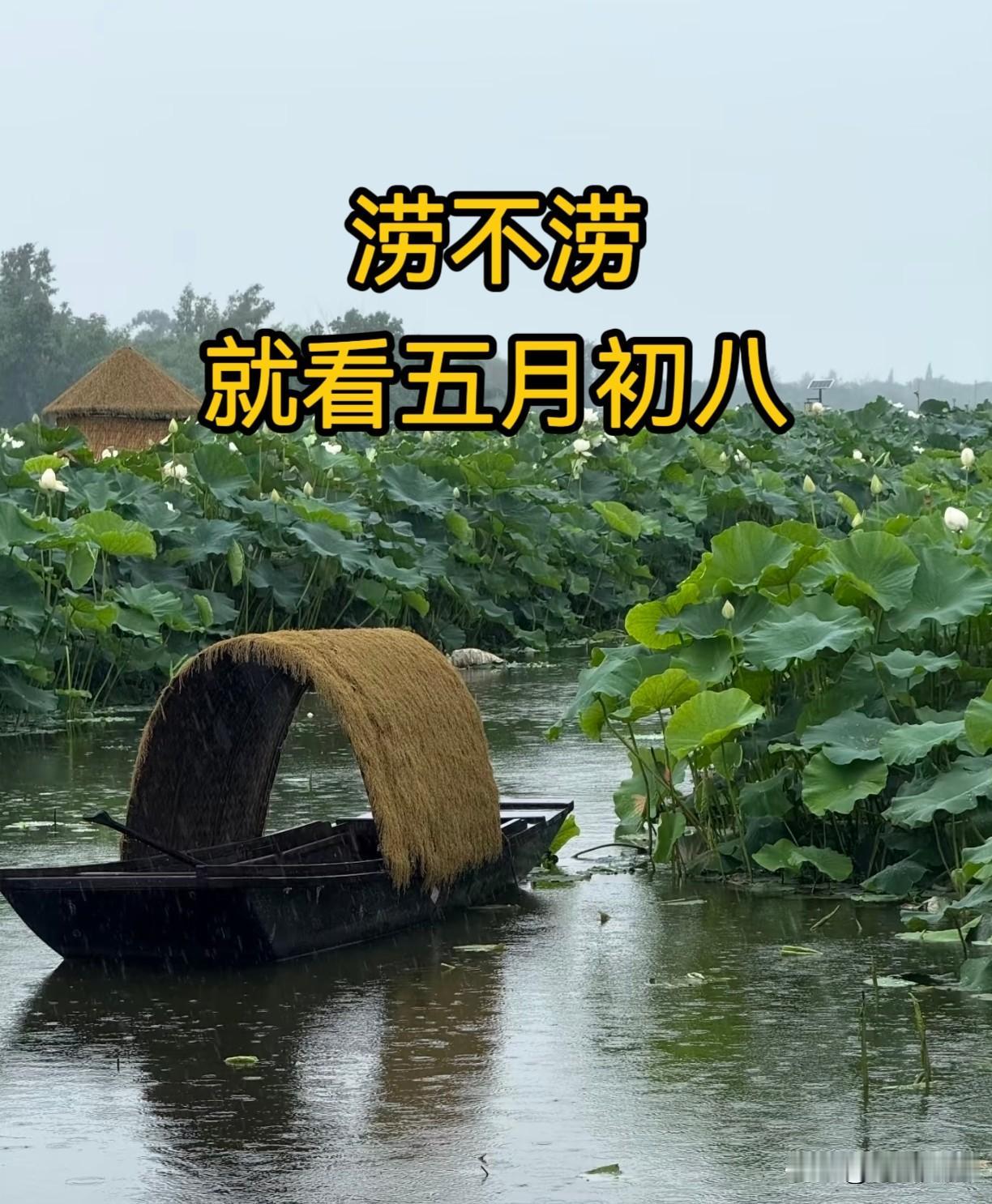 “涝不涝，就看五月初八”，今日五月初八，今年夏天雨水很多吗？“涝不涝，就看五月