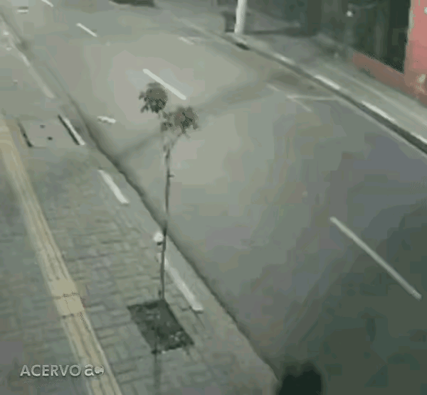 一看就是喜欢欺负弱小的人