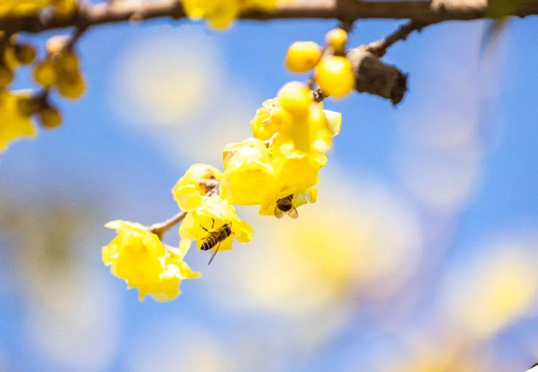 上午，小区物业在业主群里通知业主，可以开始交2026年的物业费了，为了回馈业主，