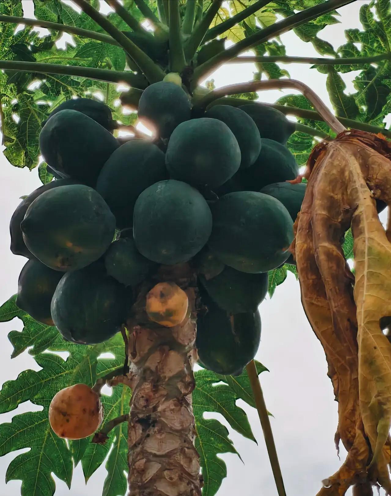 年过花甲之年的老人，无论儿女孝不孝，牢记3句话晚年必然是个幸福老人自古以来，