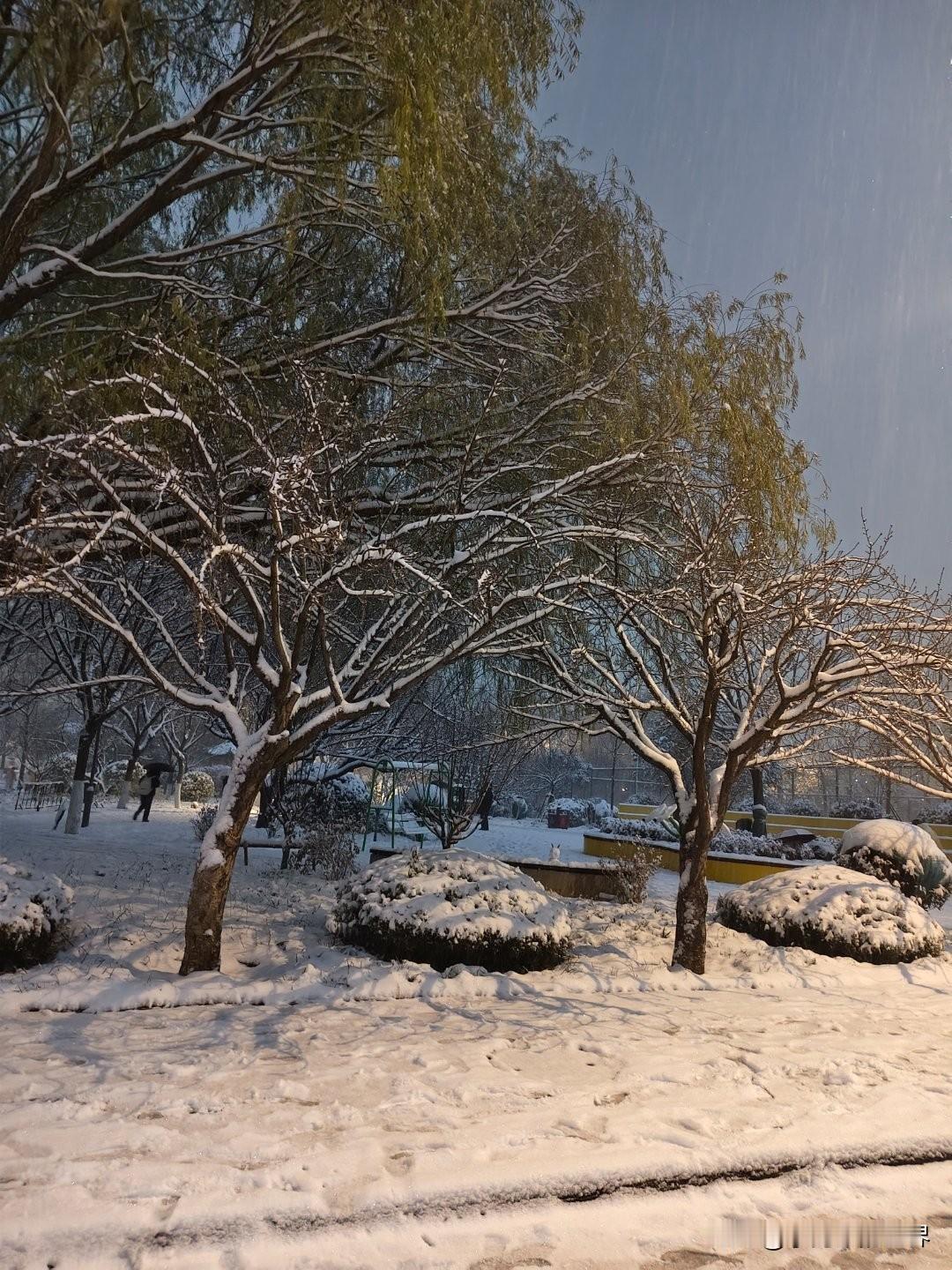 人这一生，大多数时候总是念念不忘，自己失去了什么，而忘记自己得到了什么！总是