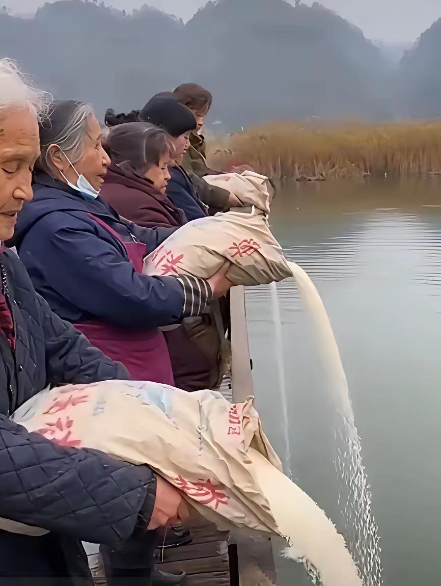 我看装大米的包装袋都是统一的，有人说可能是家里大米长虫子或者霉变了，统一包装袋就