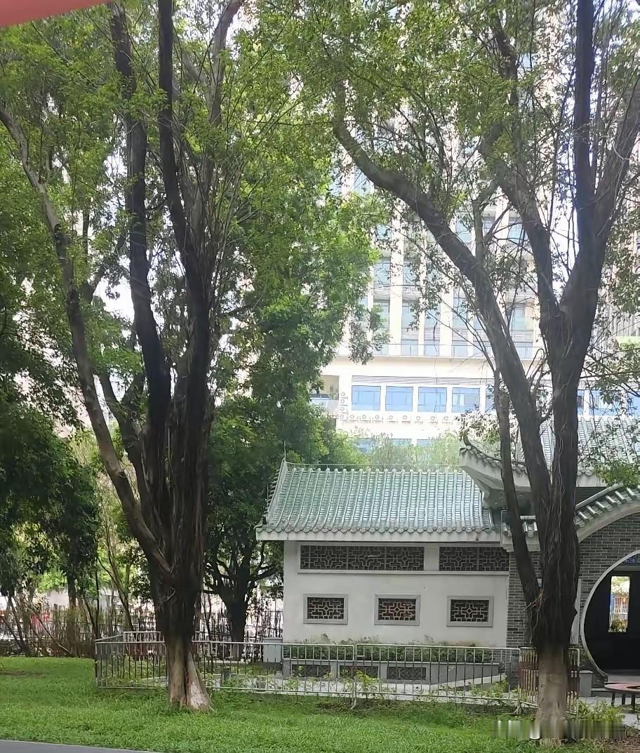 我发现，孩子上了三年级之后，真的是一场噩梦的开始。​​三年级，该怎么形容呢，对