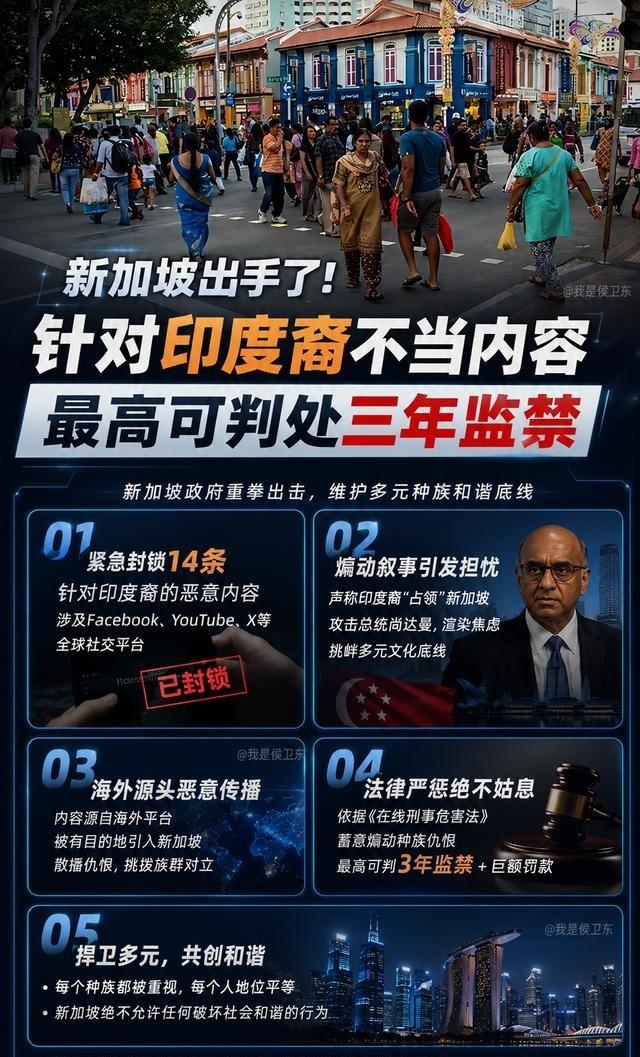 新加坡为何突然重拳出手？背后真正担心的不是印度裔，而是另一件事新加坡这次出手
