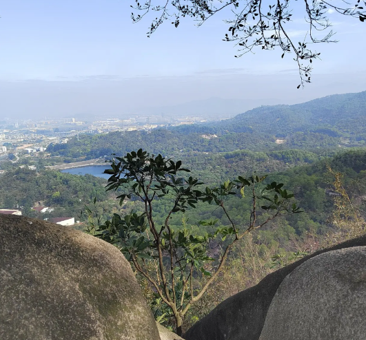 喝醉酒大哥误敲邻居家大门家住4楼大哥喝醉了，夜里零点多晕晕乎乎回家，上到3楼