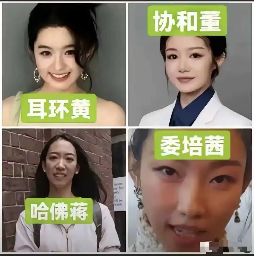 这四位美女，哪个最牛？？？