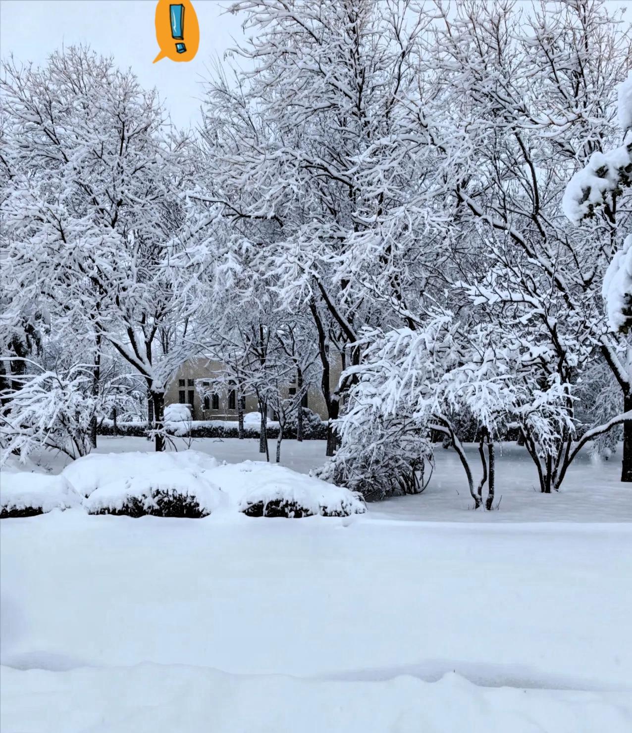 这次寒潮别再只盯着降温数了！比低温更可怕的，是即将袭向湘黔渝的冻雨，这才是真