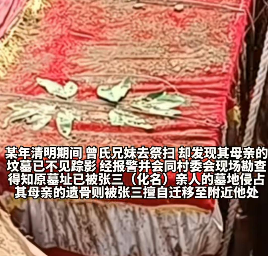 广州一兄妹俩清明去扫墓，发现母亲的墓被陌生人侵占，骨灰盒也不见踪影，后找到侵占的