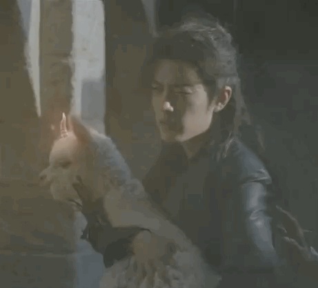 肖战和羊驼不得不说的故事，哈哈哈哈哈哈哈哈哈小城良方官宣杀青小城良方肖战刘铮亮