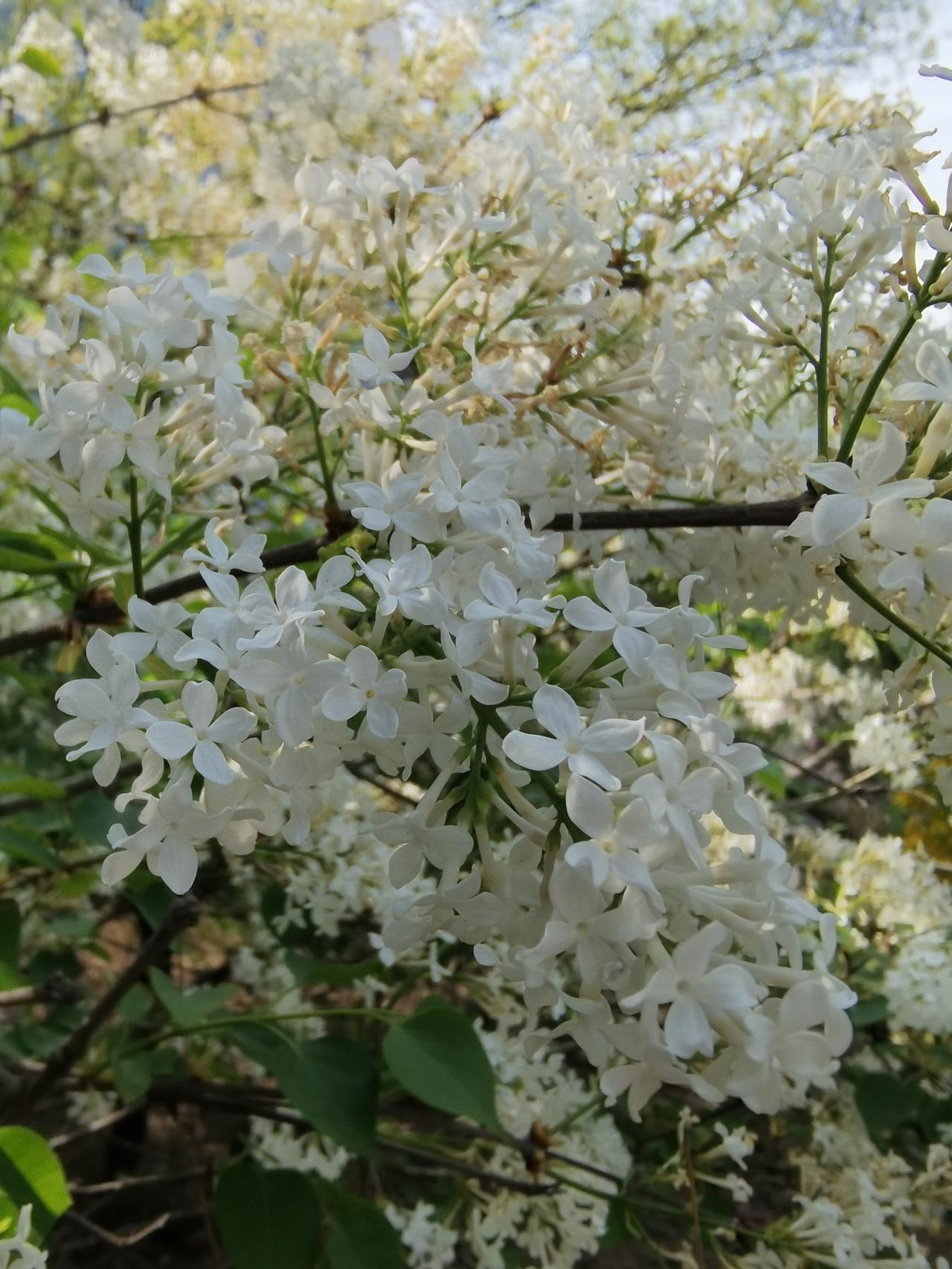 兄弟们有没有发现，有时候不经意间随口说的一句话，平台、电脑转头就给你推送相关内容