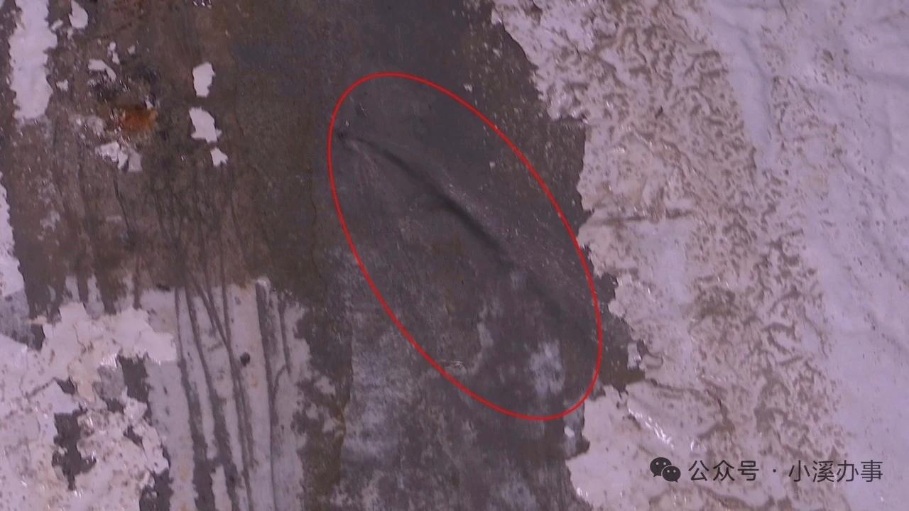 济南小区新景观车库里面看“喷泉”！最近，济南溪悦花园一期多了一处业主打卡点