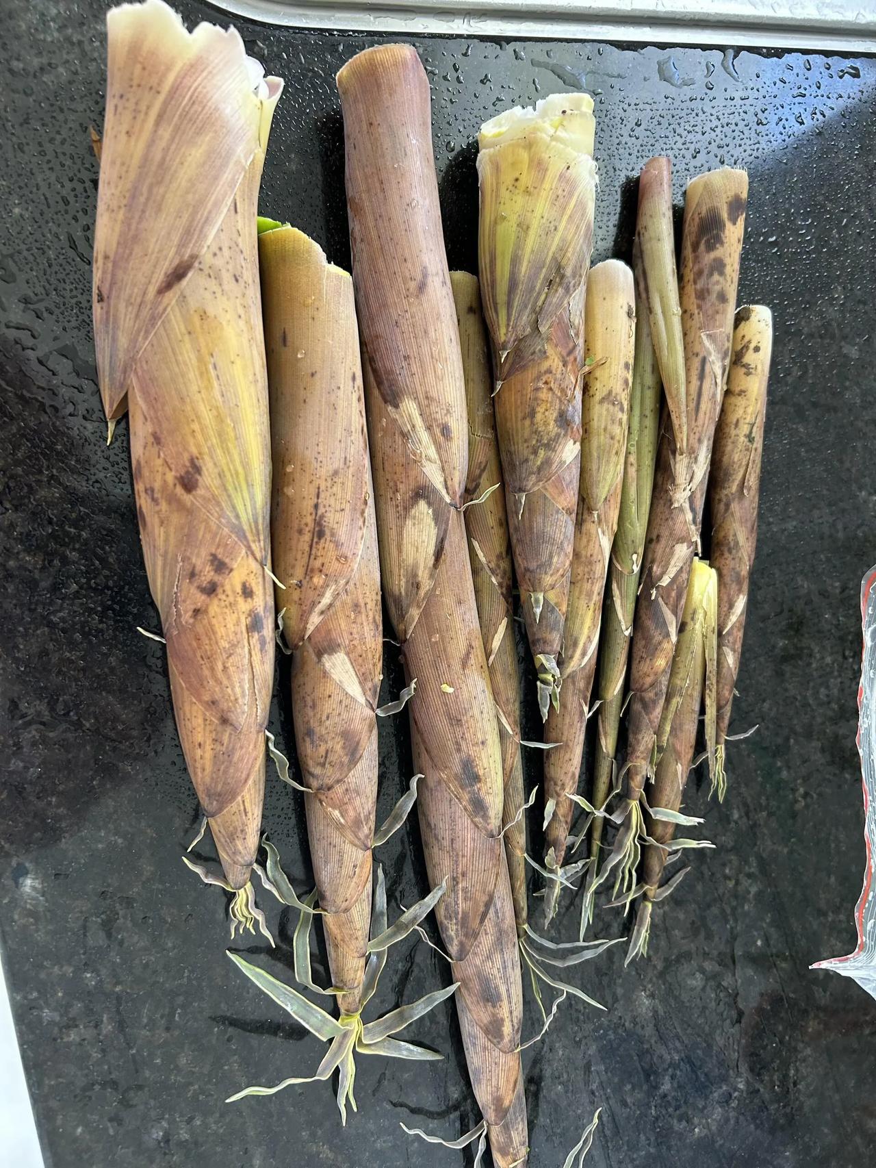 请问一下这种笋能吃吗，谢谢