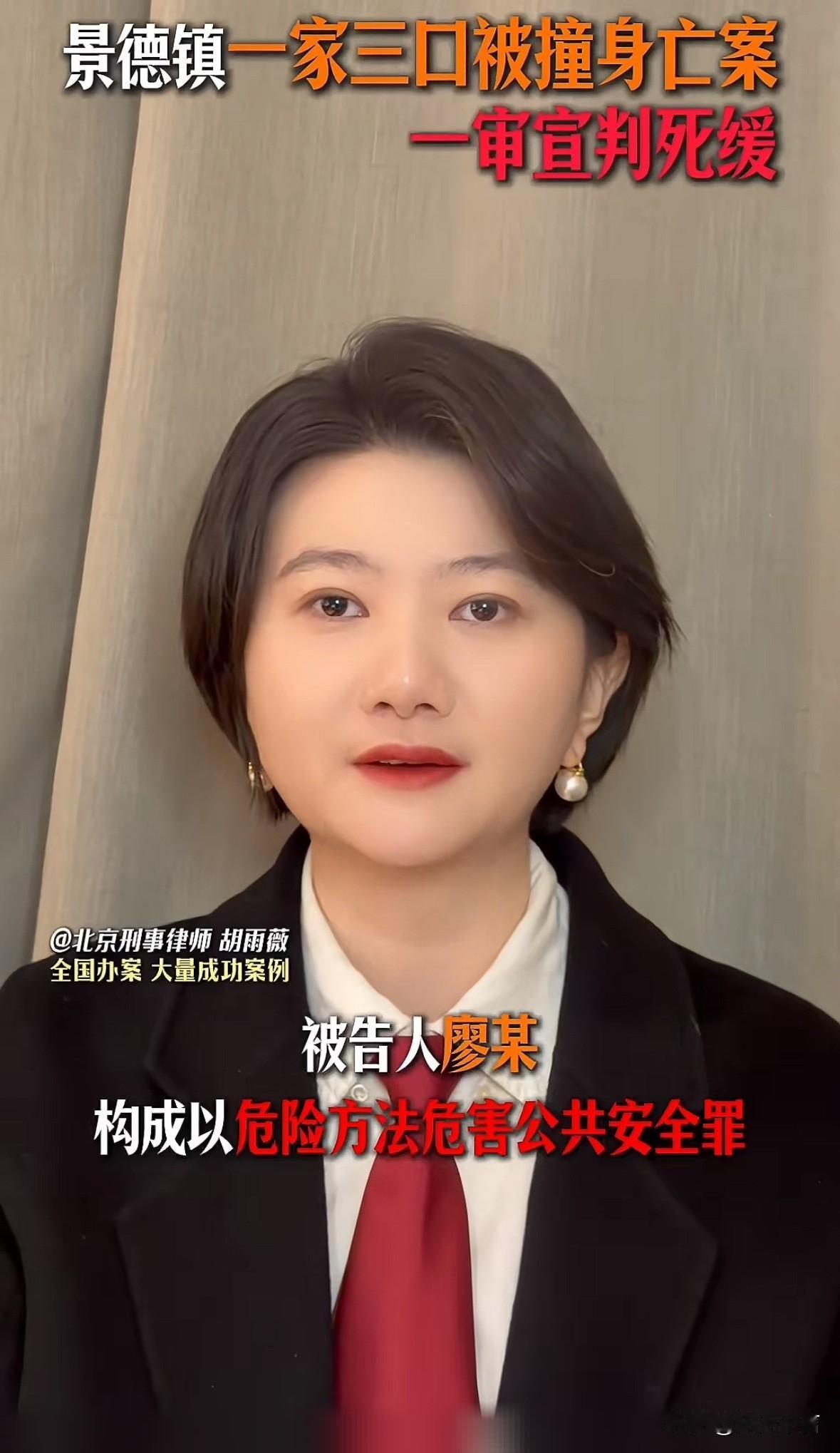 江西景德镇一家三口被害的代理律师说她已经申请抗诉，网友们纷纷鼓励她加油廖某宇