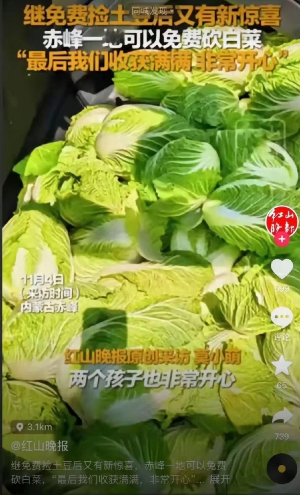 赤峰“免费捡白菜”的通报出来了。我看了一下，基本是两边都有错。农户方面，夸大