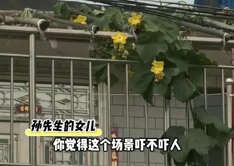 结婚38年，男子第一次打女儿后，母女离家出走数月未归，记者联系女儿，女儿道出其中
