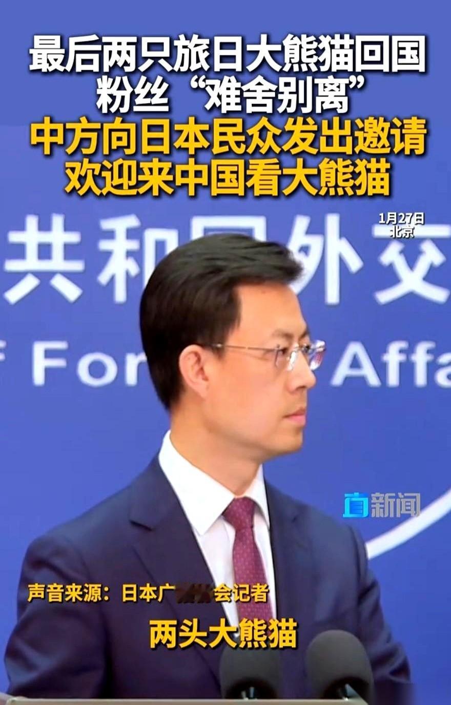 日本最后两只大熊猫要回家了。一瞬间，日本那边就没“滚滚”了。然后，记者会上，