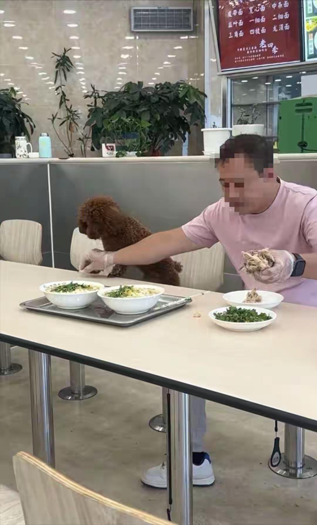 不管有的人是如何爱狗，不管是不是他们把狗当儿子或家人，甚至个别人把狗看的比父母还