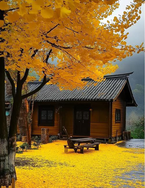 身边总有一些人见不得别人好，这些人有一个心理共性，就是嫉妒的心理。所以不