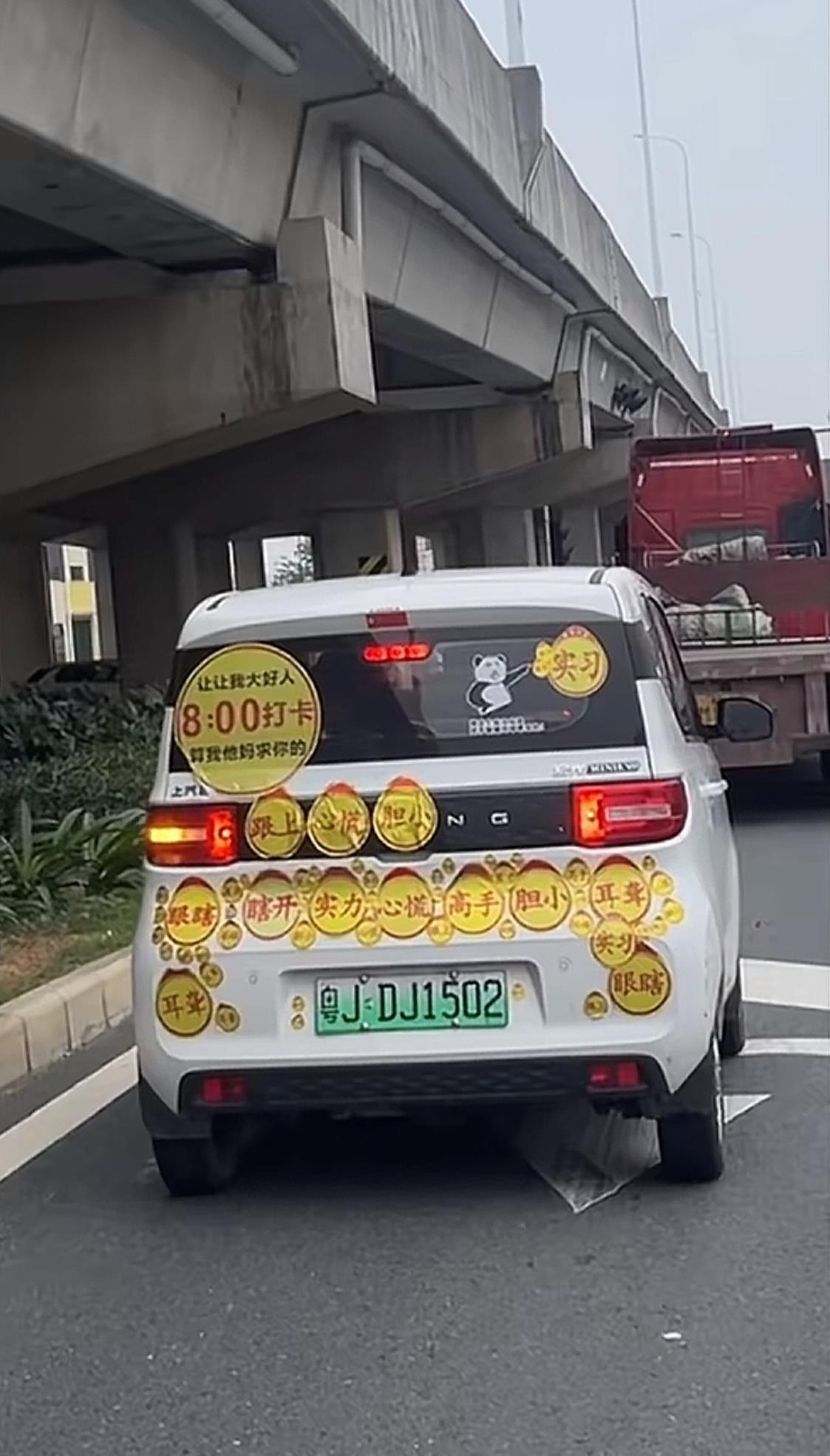 广东到处有人才，江门特别多