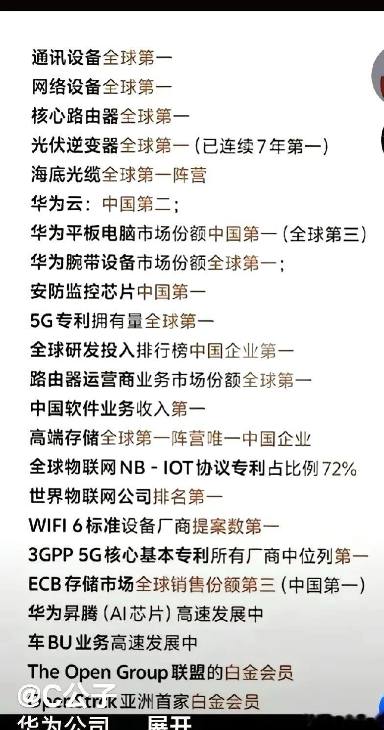 今天算是彻底看明白了，为什么老美急了。全中国的民营科技企业，按吨位来算，华为一家