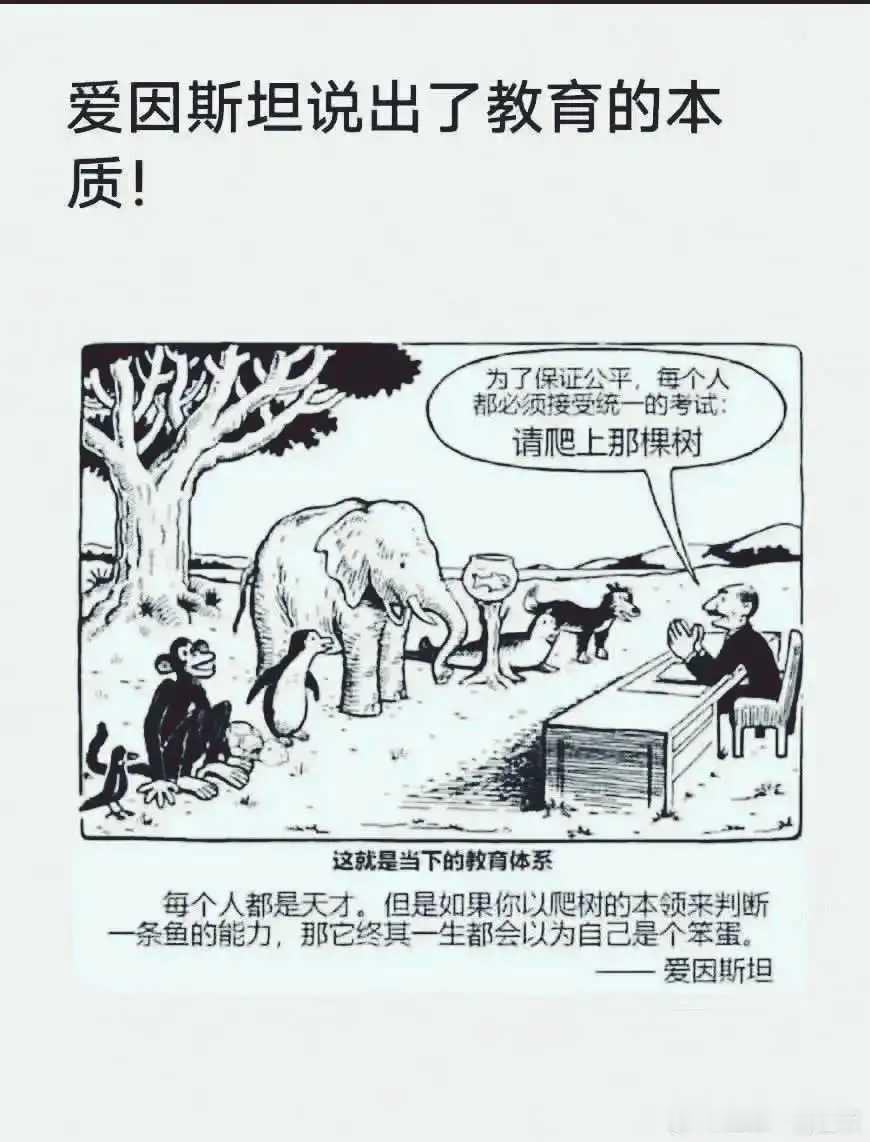 教育简单而深刻。