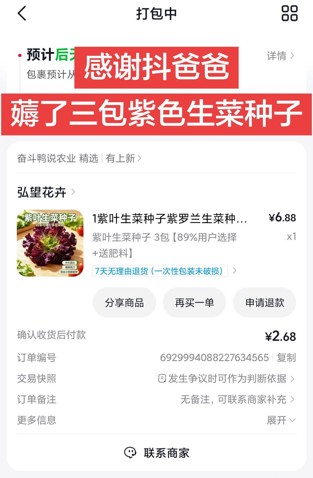 薅到了紫色生菜种子太幸运了生菜种子蔬菜种子