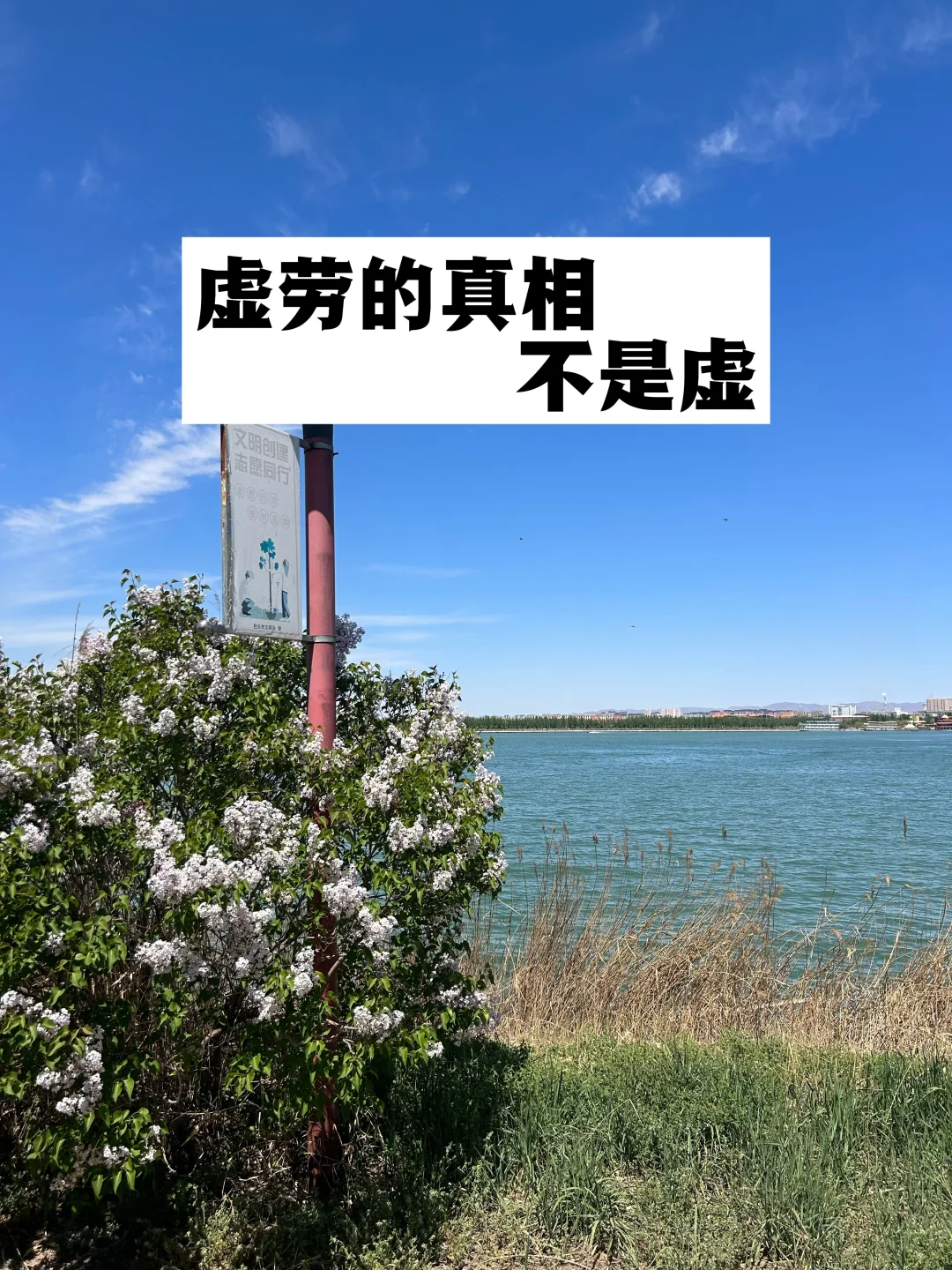 虚劳的真相，不是虚.