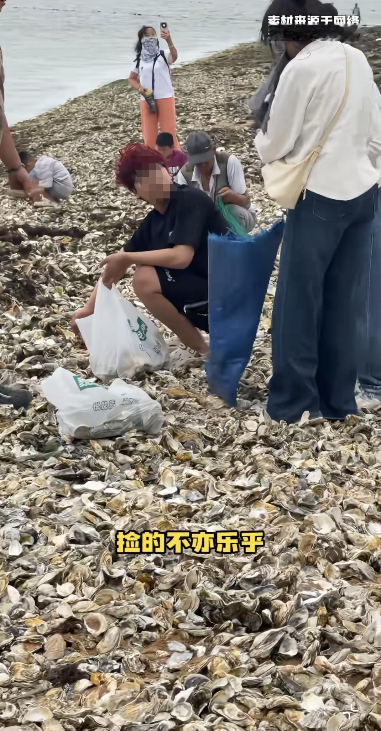 台风巴威，你怎么还两副面孔呢？巴威对浙江:狂风暴雨，购物节巴威对山东:海鲜自