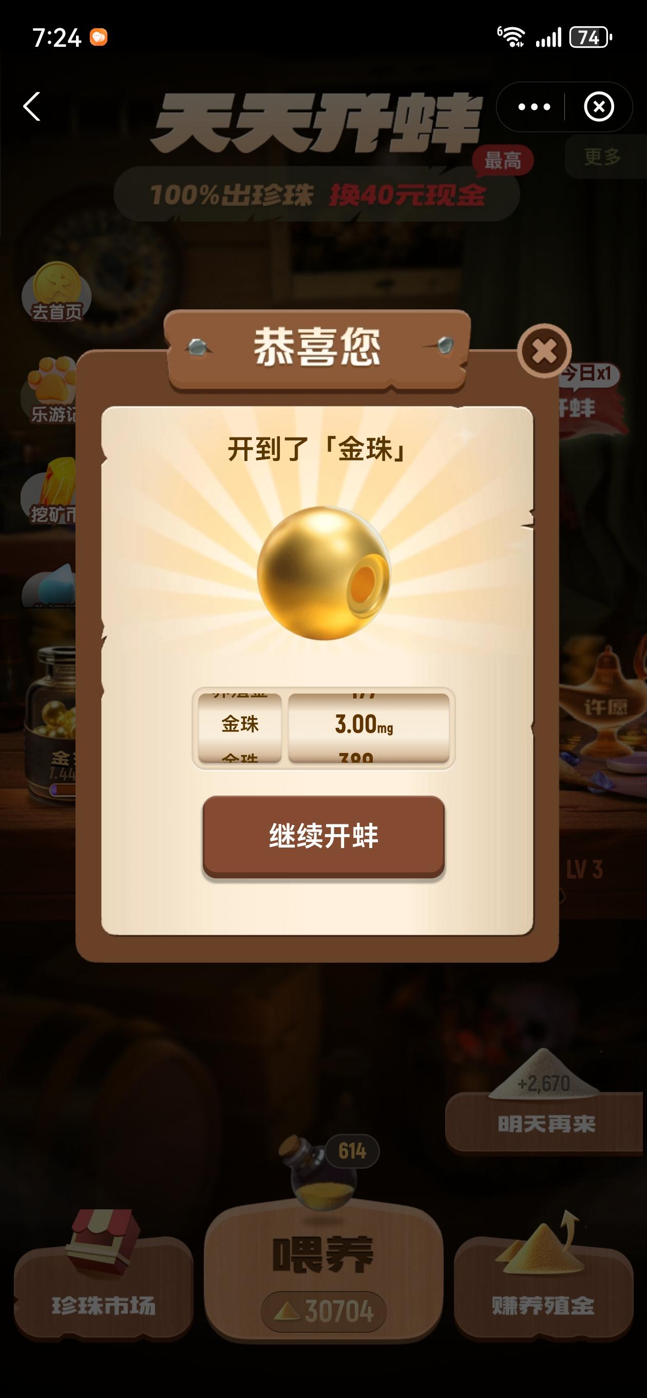 好久没有开出金珠了，最近珍珠市场行情不好，每次养的三级珠不是开出几千的养殖金就是