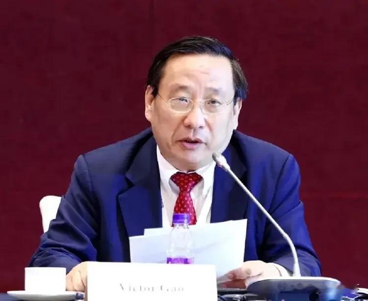 炸裂发言！高志凯称中国武力不为邻国，一番话点醒全场。美学者当面拍桌质疑