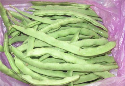 这5种食物千万别乱吃, 小心引起食物中毒!