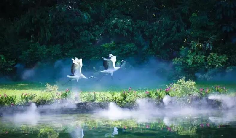 2025年春节刚过，北京一小区里，70多岁老太太因为儿子天天包办一切，气得摔门而