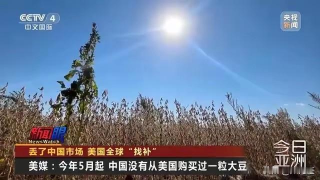 原本以为美国已经够无耻的了，没想到，跟我国关系还算好的巴西，比美国更加无耻，简直