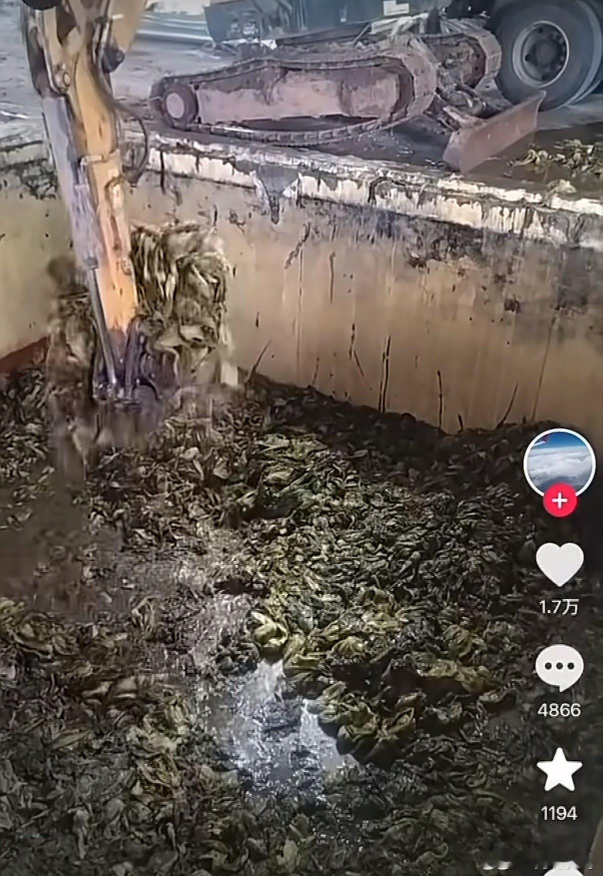 老坛酸菜已经塌无可塌了我其实最喜欢吃老坛酸菜牛肉面味的泡面……看完这辈子不想再碰