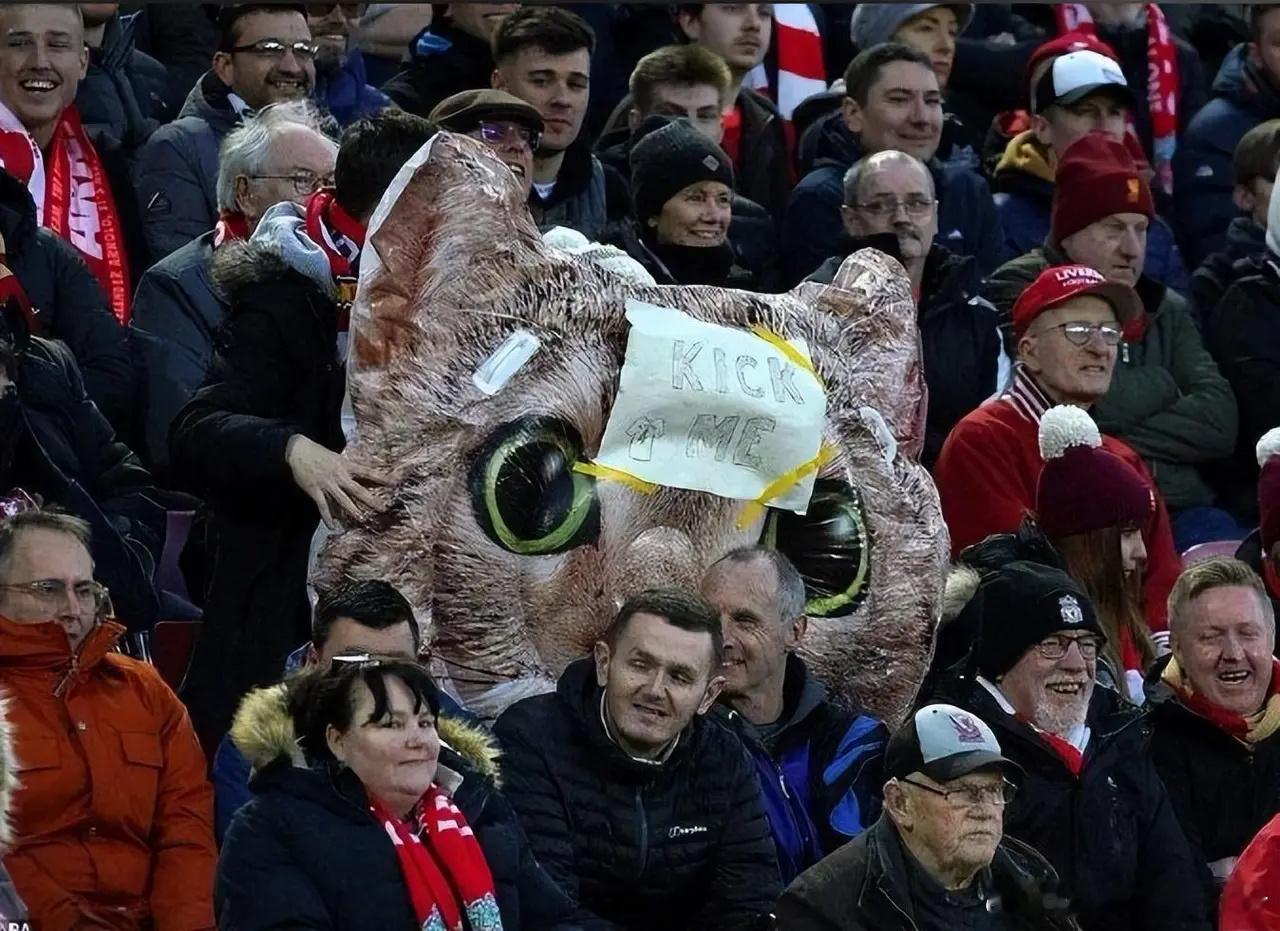 争议！山东泰山绯闻外援多次虐猫，媒体人炮轰：签他心里不膈应？近日，有消息称山东泰