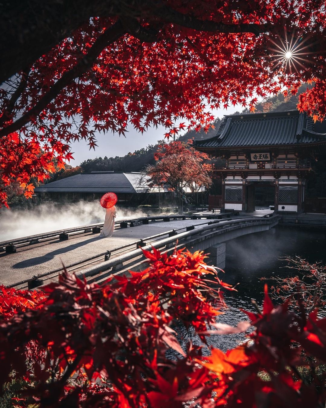 𝘚𝘩𝘢𝘳𝘦手机壁纸｜竖屏壁纸｜风景壁纸｜手机高清壁纸｜