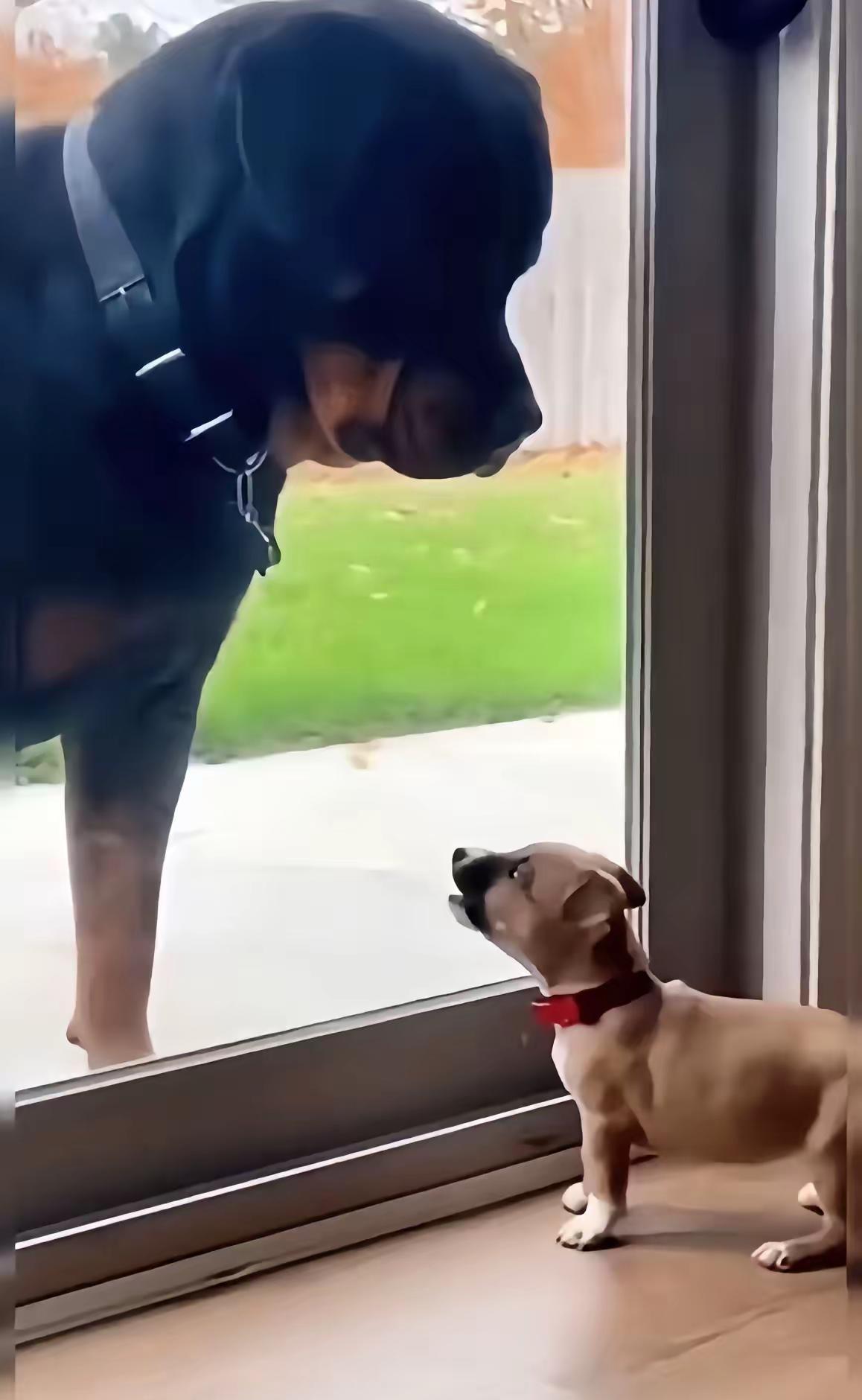 当我觉得世界已经没有任何图片能让我笑了时搞笑不养闲人