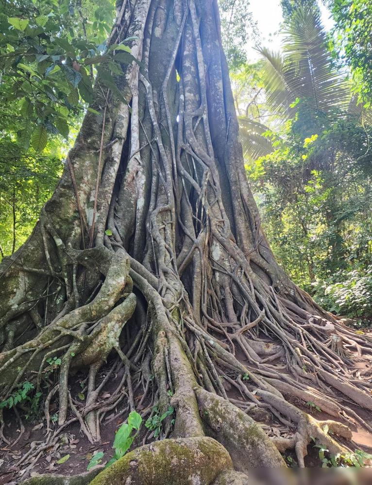 不能嫁第一梯队（上）1.日支带合三四个的男人=绝对不能嫁。2.比