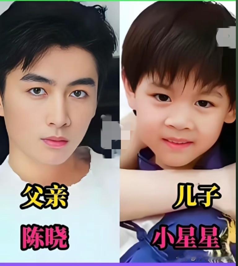 父亲有多帅儿子就有多俊，盘点娱乐圈高颜值明星父子陈晓&小星星、靳东&靳小爷、