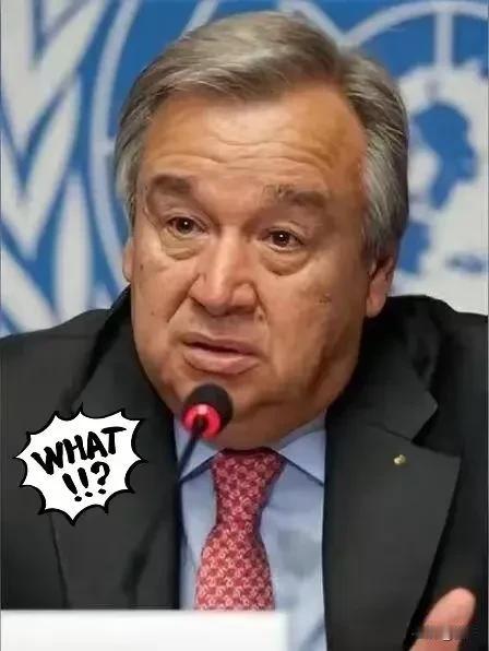 快讯!快讯!联合国刚刚通过决议2025年10月29日,联合国大会又一次以压