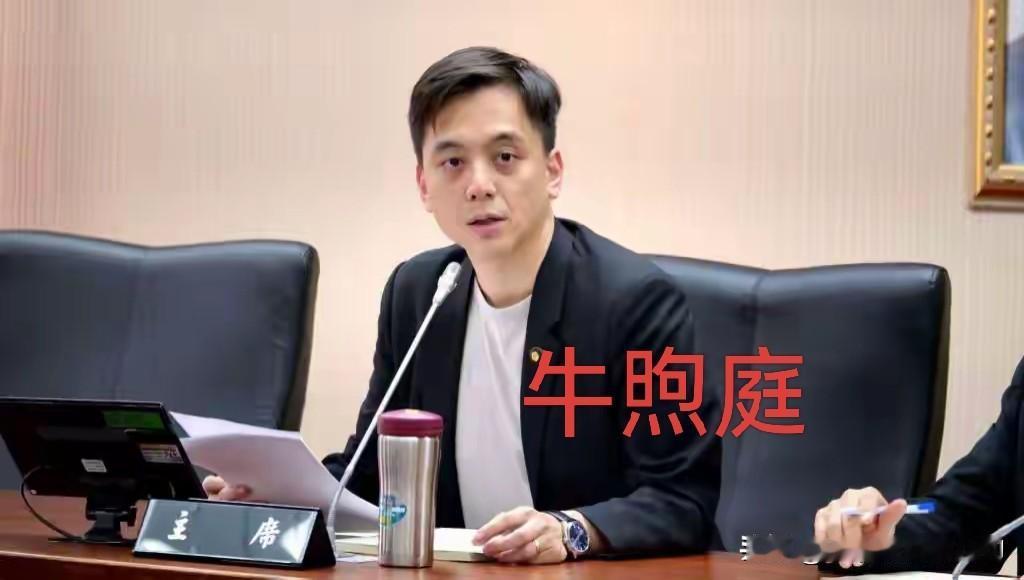 35岁牛煦庭当国民党发言人，蓝营这波是真要“换血”了？难道蓝营是真想摆脱“老气横